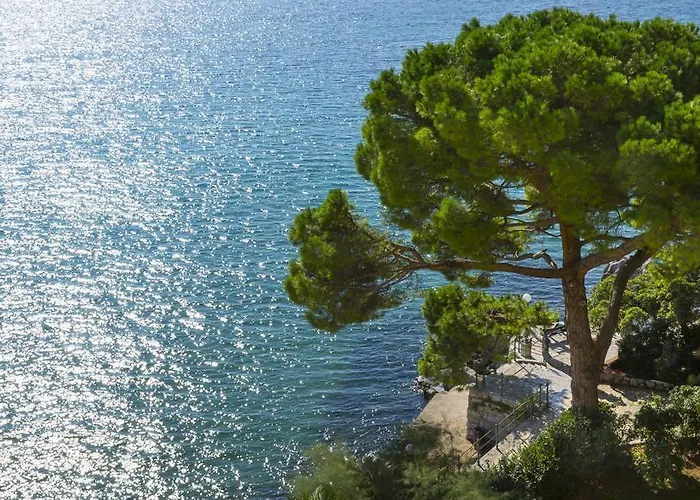 فندق Smart Selection Belvedere 2*